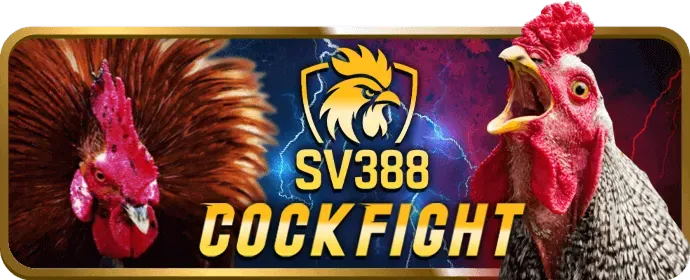 Nền tảng an toàn và bảo mật Win3333